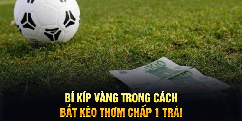 Kèo Chấp 1 Trái - Bí Kíp Vàng Trong Cách Bắt Kèo Thơm 7 Bí kíp vàng trong cách bắt kèo thơm chấp 1 trái