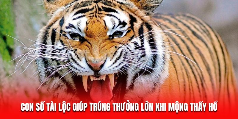 Mơ Thấy Hổ - Giải Mã Giấc Mơ Và Hé Lộ Bí Mật Tài Lộc 7 Con số tài lộc giúp trúng thưởng lớn khi mộng thấy hổ